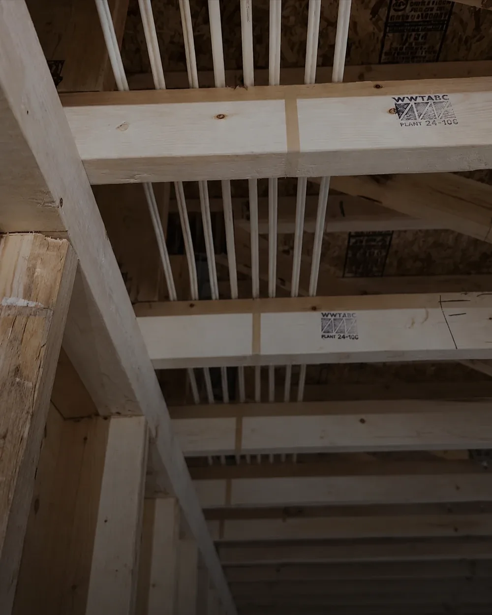 White electrical cables run in line through engineered floor trusses before the ceiling is closed in.